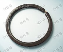 雙剖分式油封，開(kāi)口油”